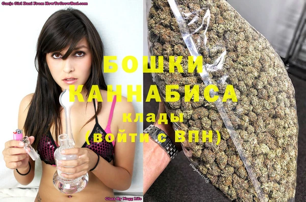 индика Волоколамск