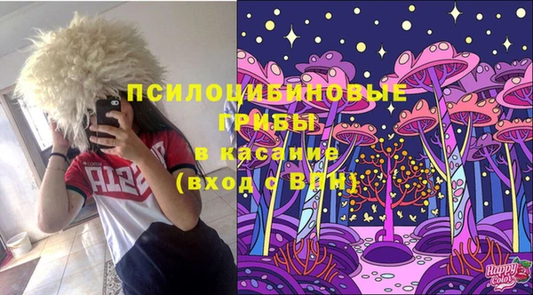 гидропоника Михайловск