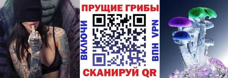 Псилоцибиновые грибы Psilocybine cubensis  Голицыно 